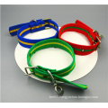 Double pin buckle 40mm colorful braided belt pet collar